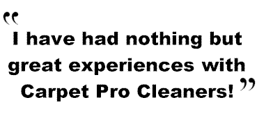 Customer Reviews Morrisville Carpet Cleaning