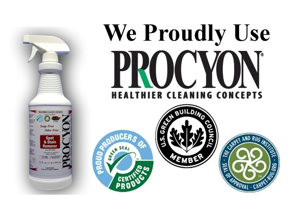 Tile Grout Cleaner - Soap Free Procyon